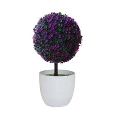 Load image into Gallery viewer, Topiary Ball Shape Bonsai
