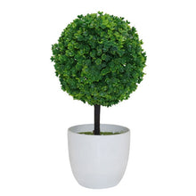 Load image into Gallery viewer, Topiary Ball Shape Bonsai
